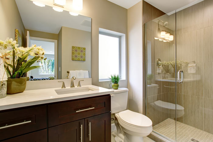 frameless-glass-shower